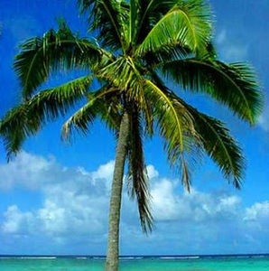 Meet your Posher, Whitney